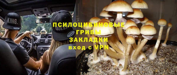 гидропоника Алексеевка