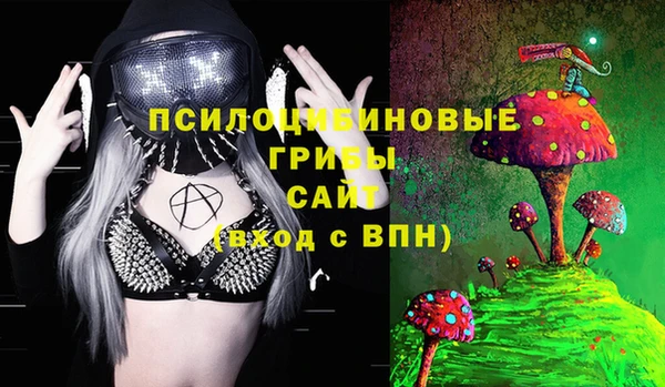 амфетамин Алексин