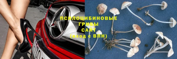 тгк Алзамай