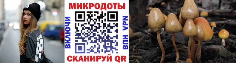 mega вход где купить наркотик Томск Псилоцибиновые грибы Psilocybe
