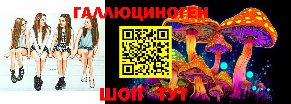 Томск  Галлюциногенные грибы прущие грибы  Вход с VPN 