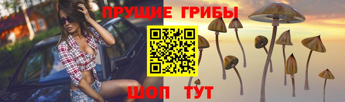 НБОМе  Томск  МЕТ  Каннабис  ГАШИШ  Меф МЯУ МЯУ кристаллы  LSD-25  Alpha PVP СОЛЬ кристаллы  Cocaine 