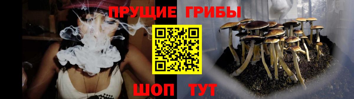 Галлюциногенные грибы MAGIC MUSHROOMS Томск